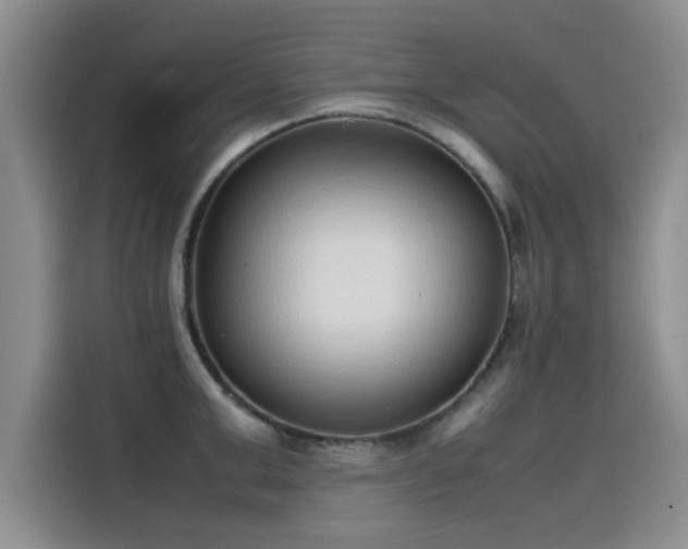 X0000115500999200911131317