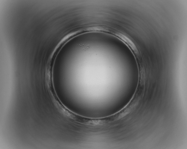 X0000115501000200911131317