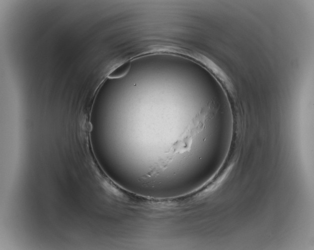X0000115501001200911131317