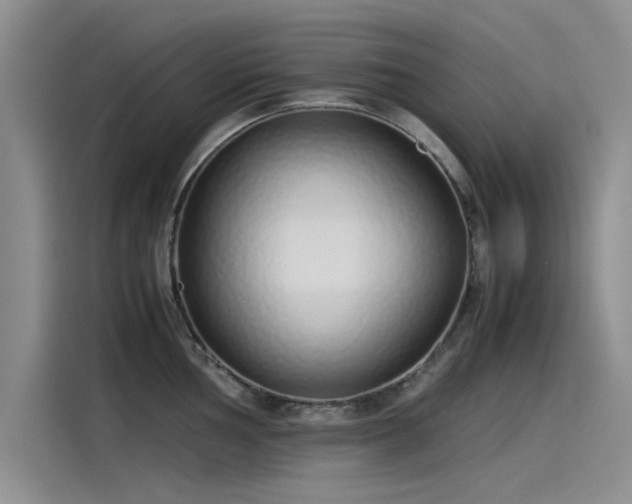 X0000115501002200911131317