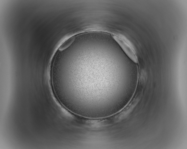 X0000115501005200911131317