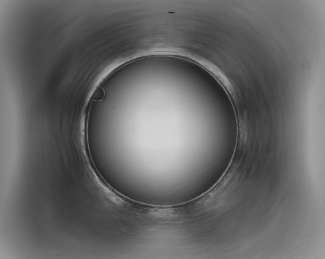 X0000115501006200911131317
