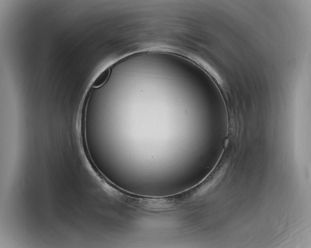 X0000115501007200911131317