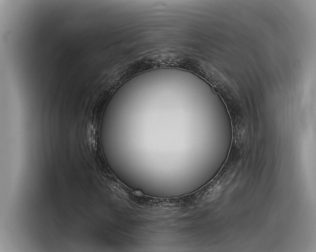 X0000115501010200911131316