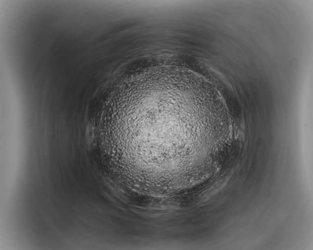 X0000115501011200911131316