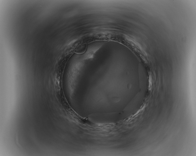 X0000115501013200911131316