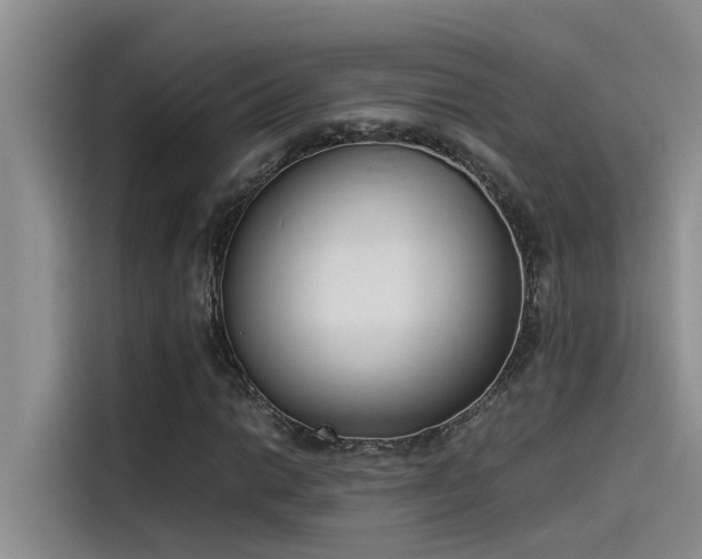 X0000115501014200911131316