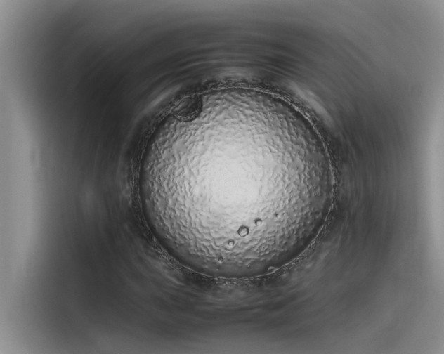X0000115501015200911131316