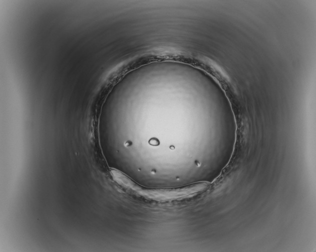 X0000115501016200911131317