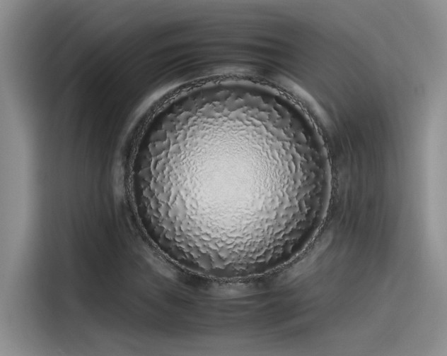 X0000115501019200911131317