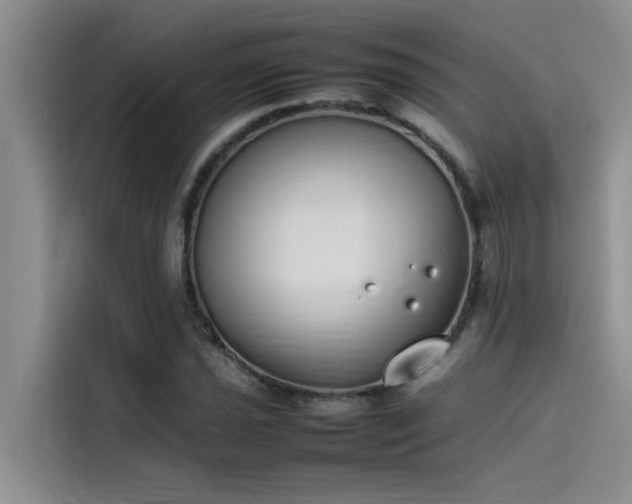 X0000115501021200911131317