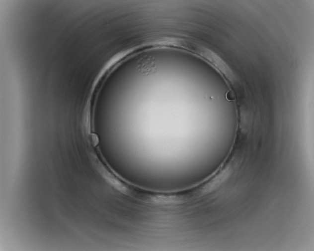 X0000115501036200911131317