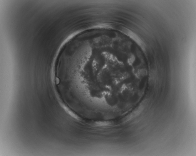 X0000115501037200911131317