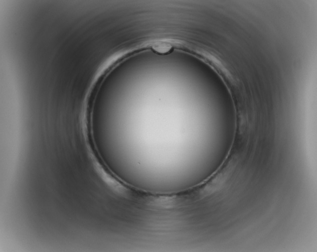 X0000115501038200911131317