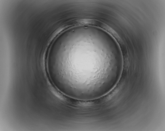 X0000115501039200911131317