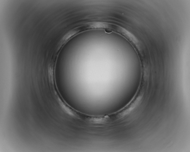 X0000115501041200911131317