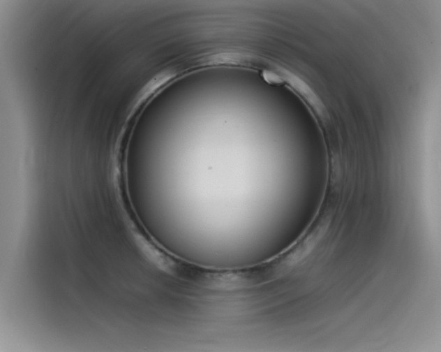 X0000115501042200911131317
