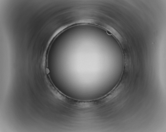 X0000115501044200911131317