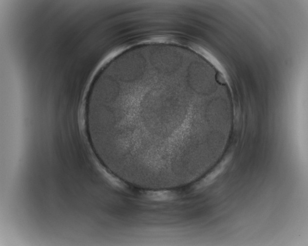 X0000115501045200911131317