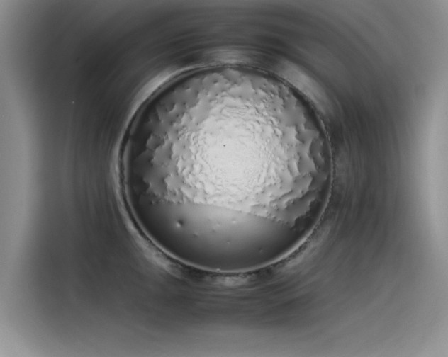 X0000115501047200911131317