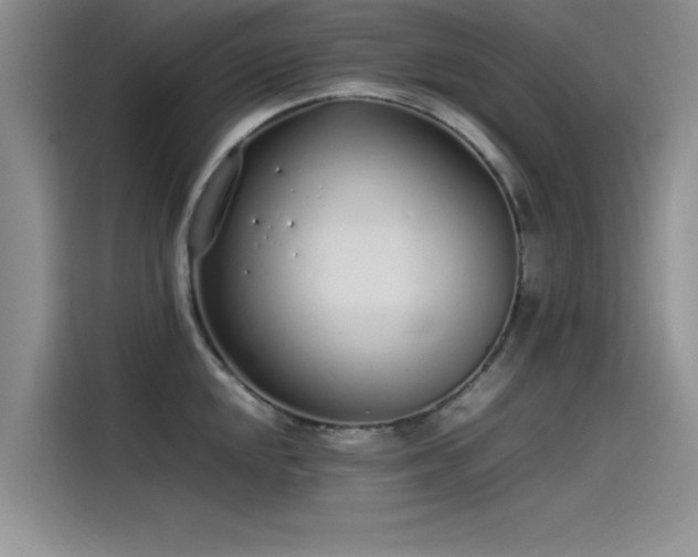 X0000115501048200911131317