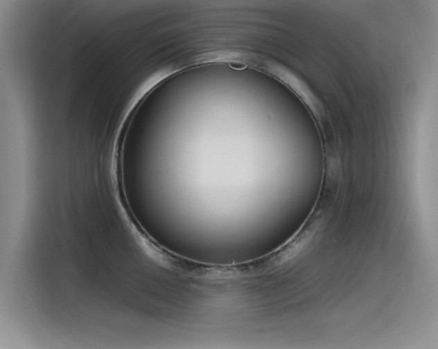 X0000115501050200911131317
