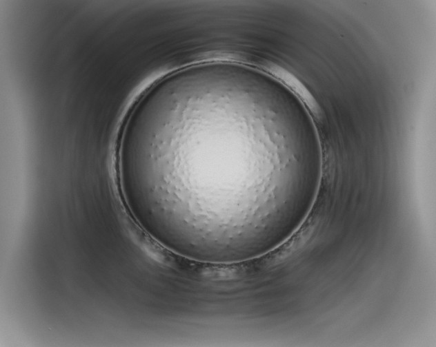 X0000115501051200911131317