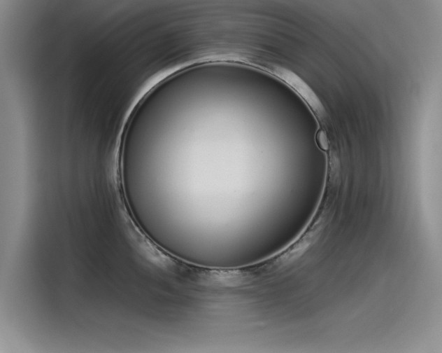 X0000115501052200911131317