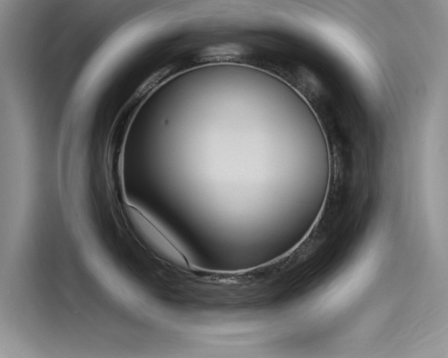 X0000115501054200911131317