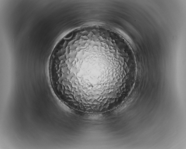 X0000115501055200911131317
