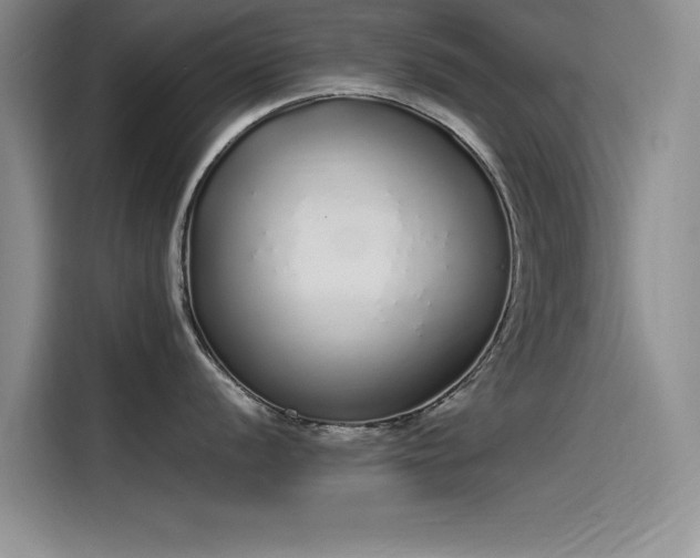X0000115501056200911131317