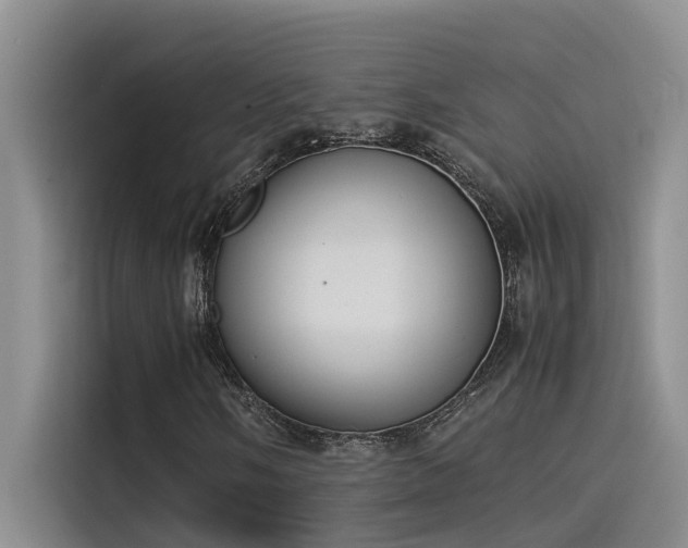 X0000115501058200911131316