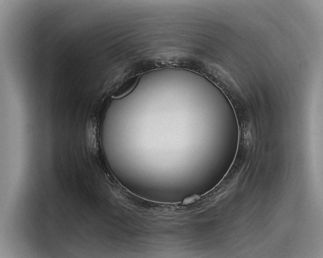 X0000115501060200911131316