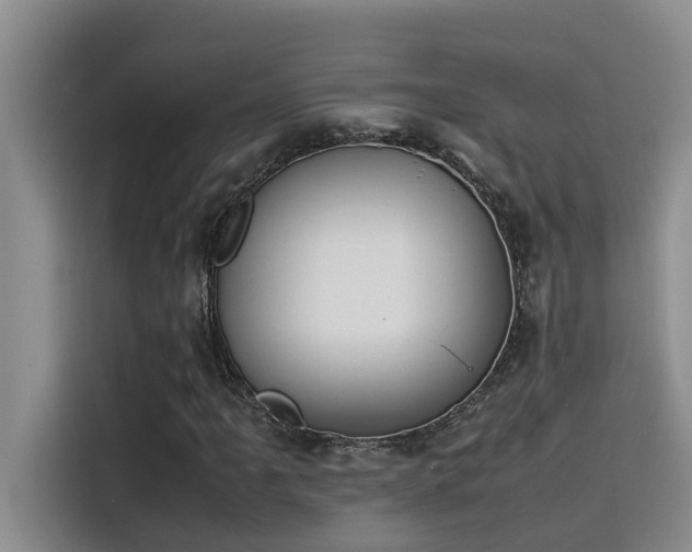 X0000115501061200911131316
