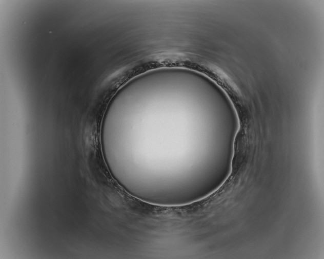 X0000115501063200911131316