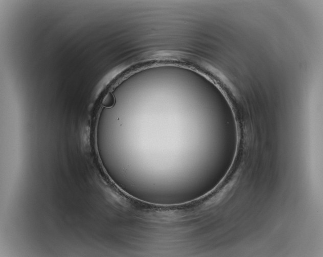 X0000115501066200911131316
