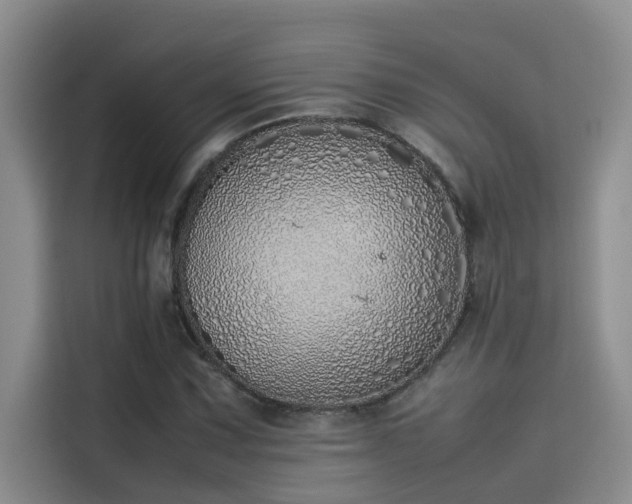 X0000115501067200911131316