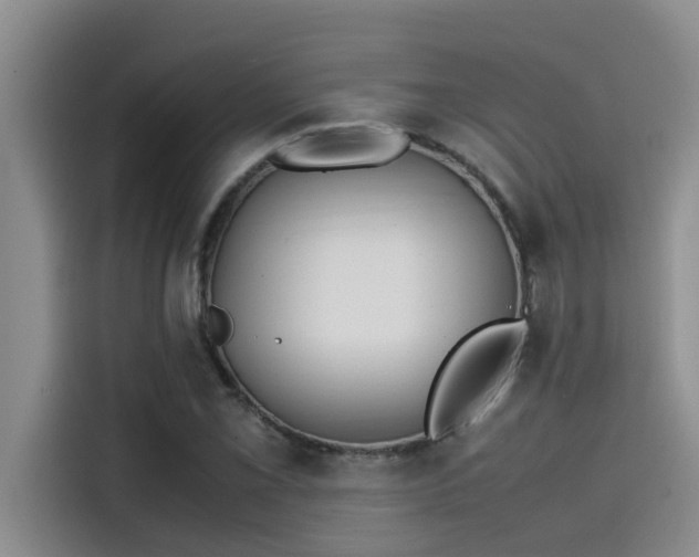 X0000115501069200911131316