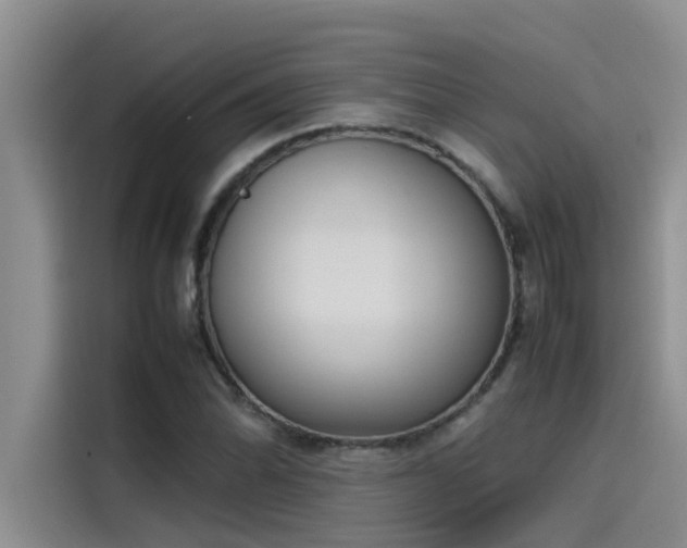 X0000115501070200911131316