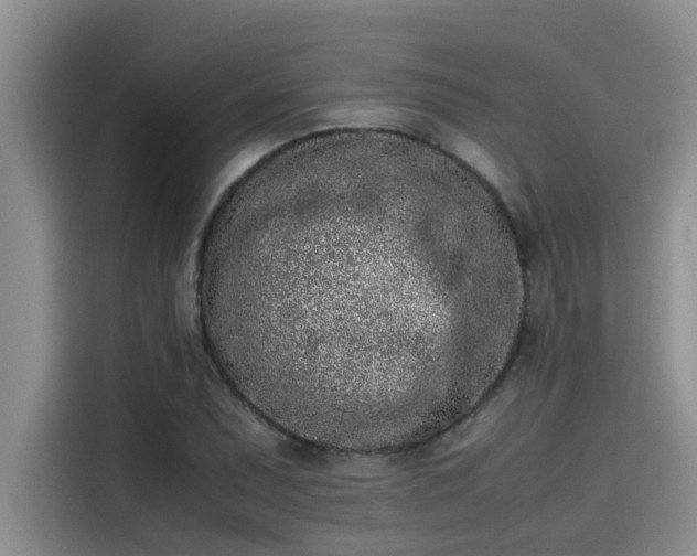 X0000115501071200911131316