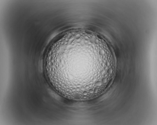 X0000115501075200911131316