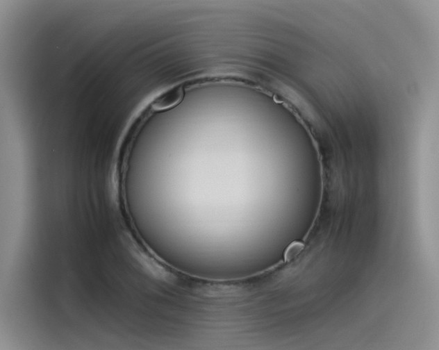 X0000115501076200911131316