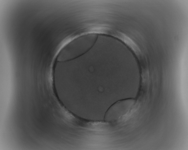 X0000115501077200911131316