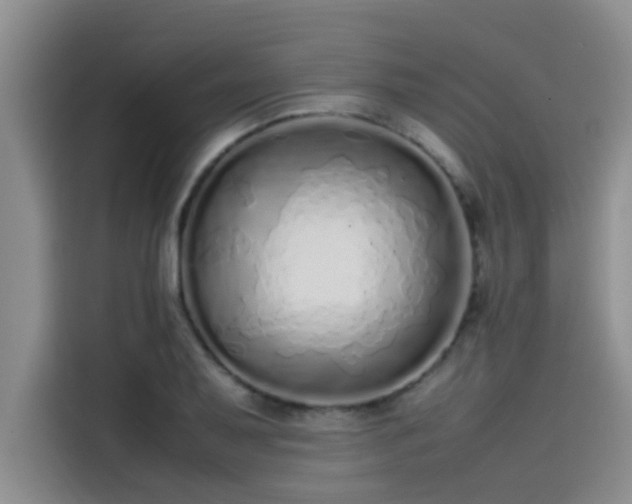 X0000115501079200911131316