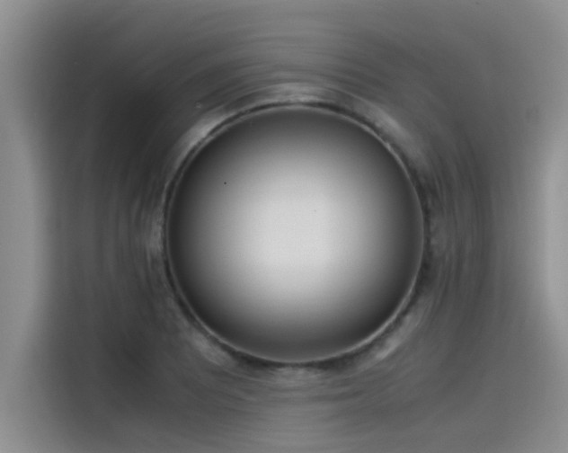 X0000115501081200911131316