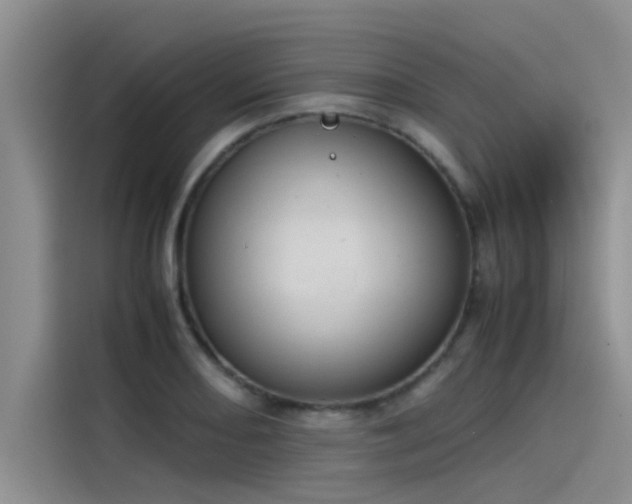 X0000115501082200911131316