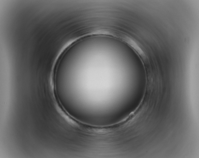 X0000115501084200911131316