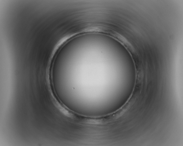 X0000115501086200911131316