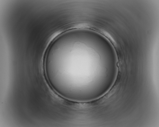 X0000115501087200911131316