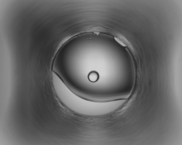 X0000115501089200911131316